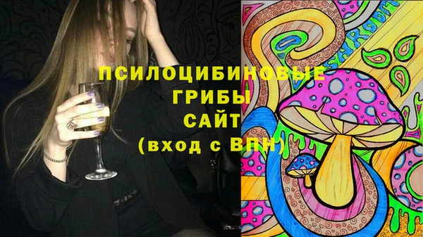ECSTASY Белокуриха