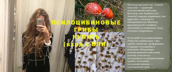 ECSTASY Белокуриха