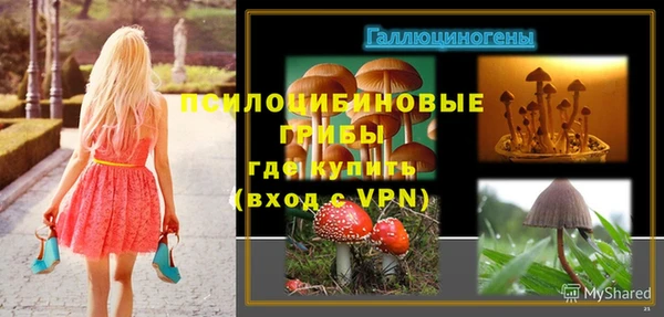 каннабис Беломорск
