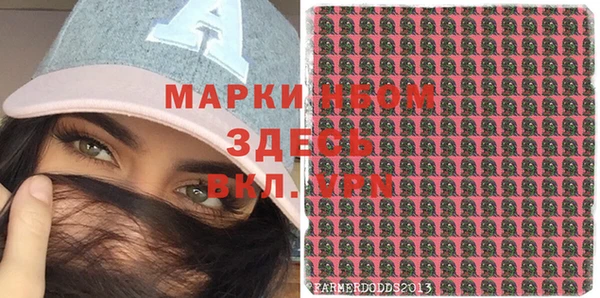 ECSTASY Белокуриха